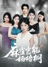 麻雀岂能栖梧桐（31集）精彩短剧推荐