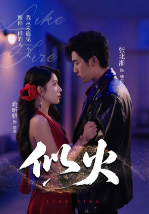 似火（80集）好看吗