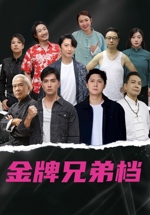龙虎兄弟粤语版（60集）精彩短剧看不停