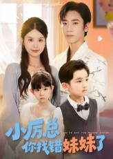 小厉总你找错妹妹了（52集）全剧免费观看