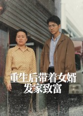 重生后带着女婿发家致富（41集）一个短剧看全集