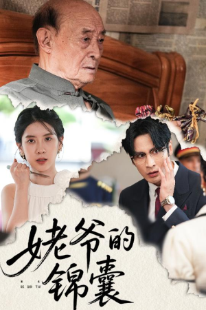 姥爷的锦囊（63集）短剧热门合集