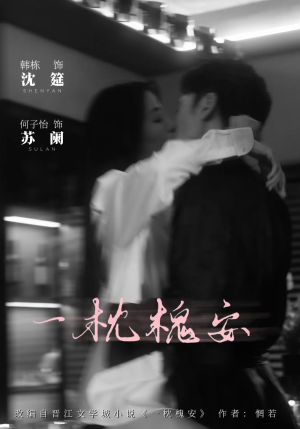 一枕槐安（80集）在线观看