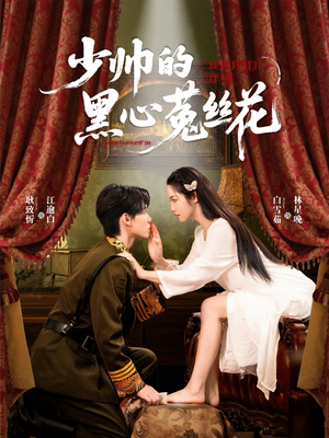 少帅的黑心菟丝花（60集）短剧热播抢先看