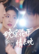 晚棠花开情未晚（30集）演员表
