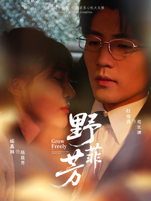 野芳菲（60集）精彩短剧看全集