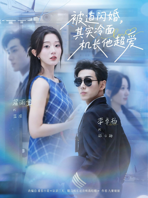 被迫闪婚其实冷面机长他超爱（77集）番茄免费短剧