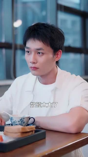 都市一品傻婿 (96集)短剧分享剧集