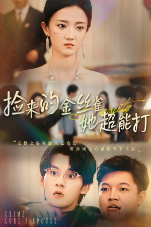 捡来的金丝雀她超能打&和小娇夫领证后夫人她不装了（65级）在线观看完整版