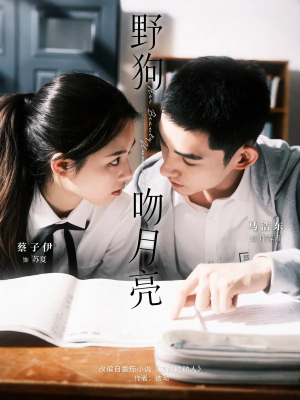 野狗吻月亮（68集）短剧太好看了吧