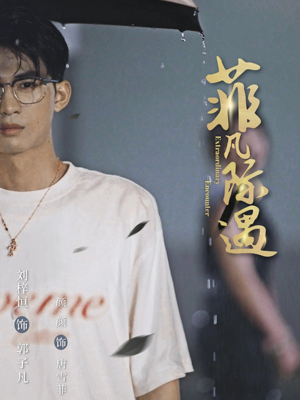 菲凡际遇（100集）番茄短剧看全集