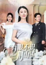 有眼不识荆山玉（58集）独家短剧免费看