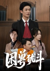 困兽犹斗（50集）看到了大结局