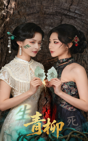 青柳（79集）最后的大结局