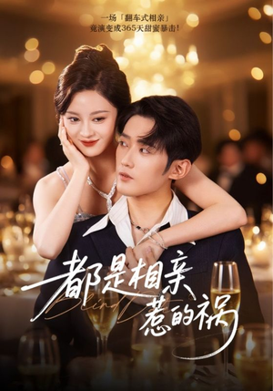 都是相亲惹的祸（72集）在线免费观看