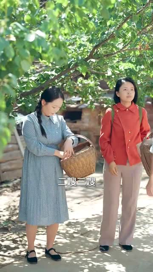 穿书1975炮灰女配不干了（80集）独家资源免费看