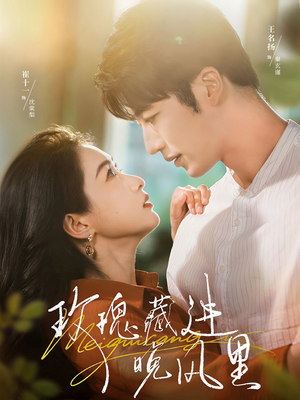 玫瑰藏进晚风里（68集）免费热门短剧