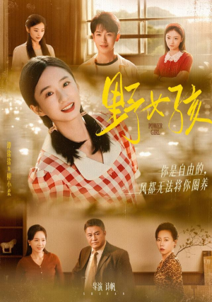 野女孩（91集）在线免费观看