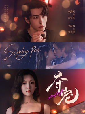 夺宠（88集）精彩短剧看全集