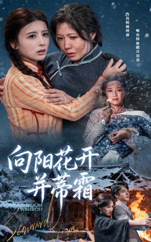 向阳花开并蒂霜（60集）最火短剧推荐