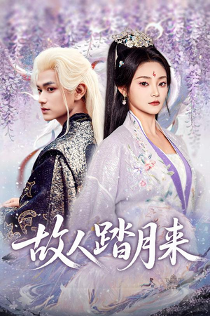 故人踏月来（60集）短剧上热门