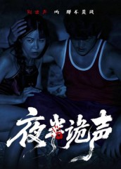 夜半诡声（28集）最火爆短剧