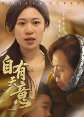 自有天意（35集）热门短剧看不停
