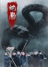蛇影（25集）排行榜前十短剧