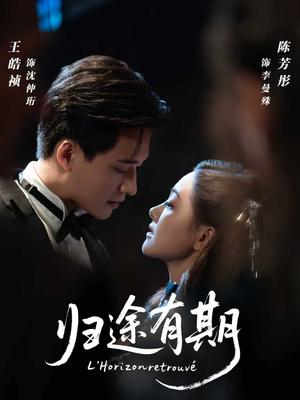 归途有期（60集）热播短剧全集看