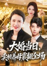 大婚当日,卖桃养母震翻全场(70集) 大婚当日,卖桃养母震翻全场(70集)最新上映免费看