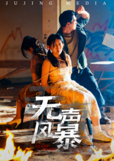 无声风暴(33集) 无声风暴(33集)更新时间一览表