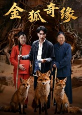 金狐奇缘(42集) 金狐奇缘(42集)大结局一气呵成