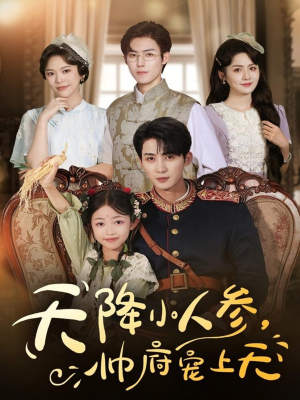 天降小人参,帅府宠上天(83集) 天降小人参,帅府宠上天(83集)免费看