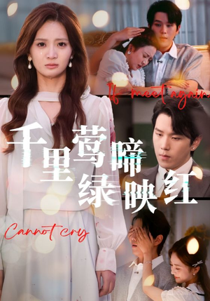 千里莺啼绿映红（63集）短剧在线更新