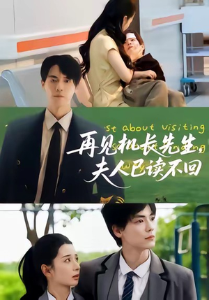 再见机长先生夫人已读不回(62集) 再见机长先生夫人已读不回(62集)免费短剧看全集