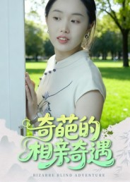 奇葩的相亲奇遇（17集）百度网盘在线看