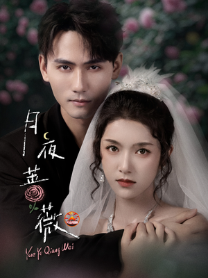 月夜蔷薇(72集) 月夜蔷薇(72集)在线看免费版