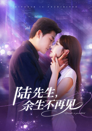 陆先生,余生不再见(88集) 陆先生,余生不再见(88集)免费短剧看全集