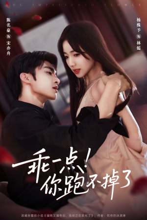 乖一点!你跑不掉了(80集) 乖一点!你跑不掉了(80集)免费短剧大全