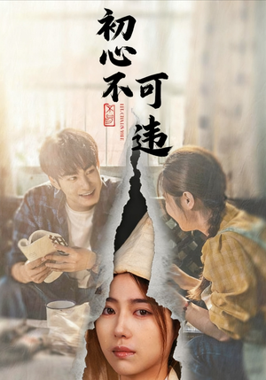 初心不可违（62集）在线看免费版