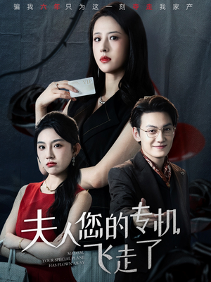 夫人您的专机飞走了（62集）第二季