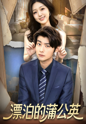 漂泊的蒲公英(60集) 漂泊的蒲公英(60集)精彩短剧看全集