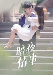 暗夜情事(100集) 暗夜情事(100集)热门火爆短剧
