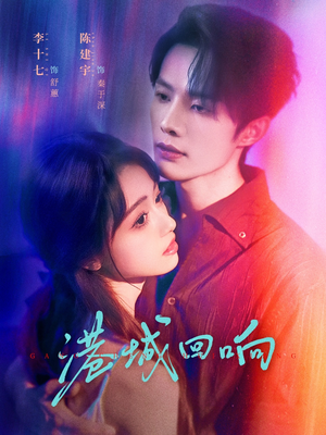 港城回响（79集）热播短剧全集看