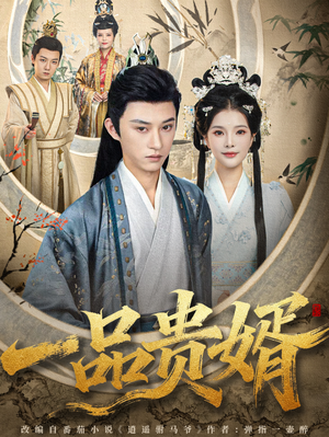 一品贵婿（80集）在线免费观看