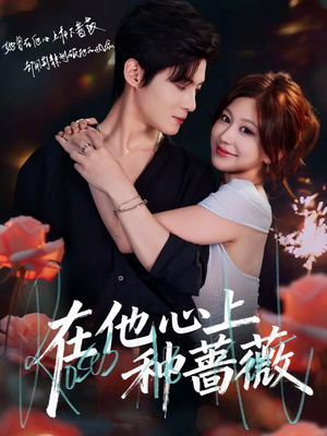 在他心上种蔷薇（81集）免费短剧大全