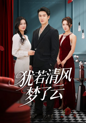 犹若清风梦了云(66集) 犹若清风梦了云(66集)哪个网站可以看