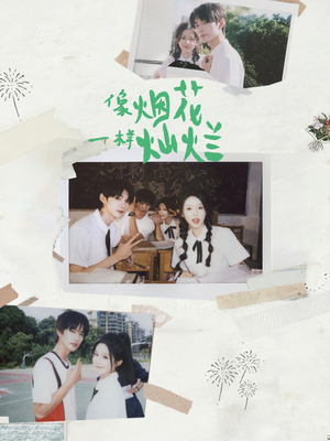 像烟花一样灿烂（60集）一口气追完短剧