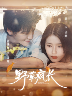 野草疯长(71集) 野草疯长(71集)最新热门短剧