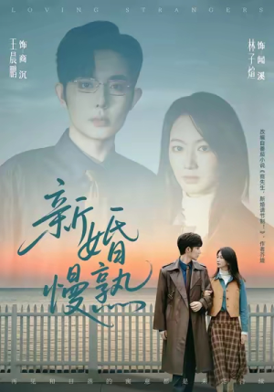 新婚慢熟(105集) 新婚慢熟(105集)在线免费观看